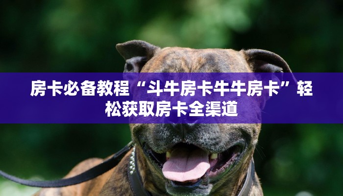 房卡必备教程“斗牛房卡牛牛房卡”轻松获取房卡全渠道 房卡必备教程“斗牛房卡牛牛房卡”轻松获取房卡全渠道