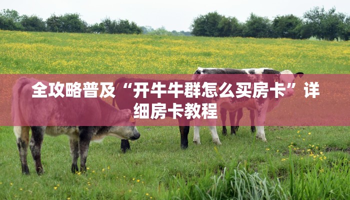 全攻略普及“开牛牛群怎么买房卡”详细房卡教程 全攻略普及“开牛牛群怎么买房卡”详细房卡教程