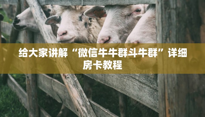 一分钟了解“微信斗牛链接房卡购买”轻松获取房卡全渠道 一分钟了解“微信斗牛链接房卡购买”轻松获取房卡全渠道