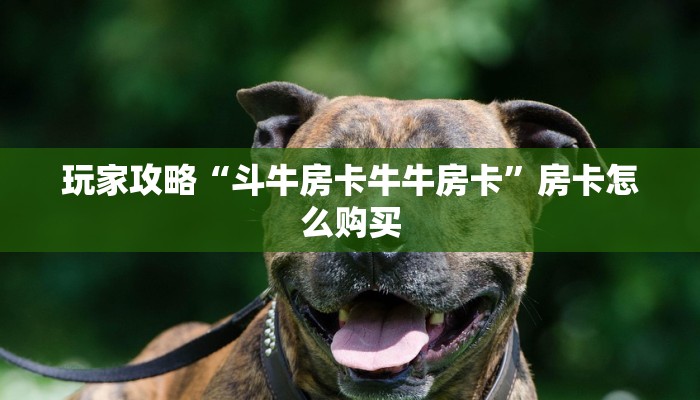 秒懂百科“炸 金花卖房卡代理”获取房卡教程-哔哩哔哩 秒懂百科“炸 金花卖房卡代理”获取房卡教程-哔哩哔哩