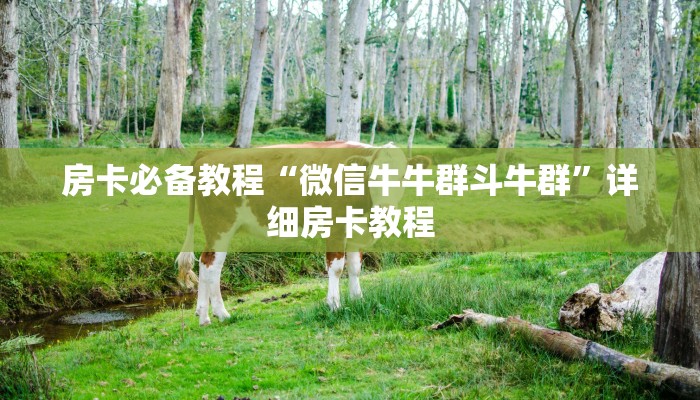 房卡必备教程“微信牛牛群斗牛群”详细房卡教程 房卡必备教程“微信牛牛群斗牛群”详细房卡教程