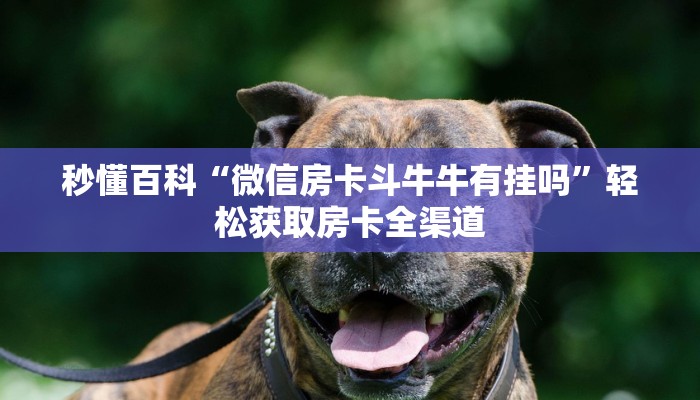 秒懂百科“微信房卡斗牛牛有挂吗”轻松获取房卡全渠道 秒懂百科“微信房卡斗牛牛有挂吗”轻松获取房卡全渠道